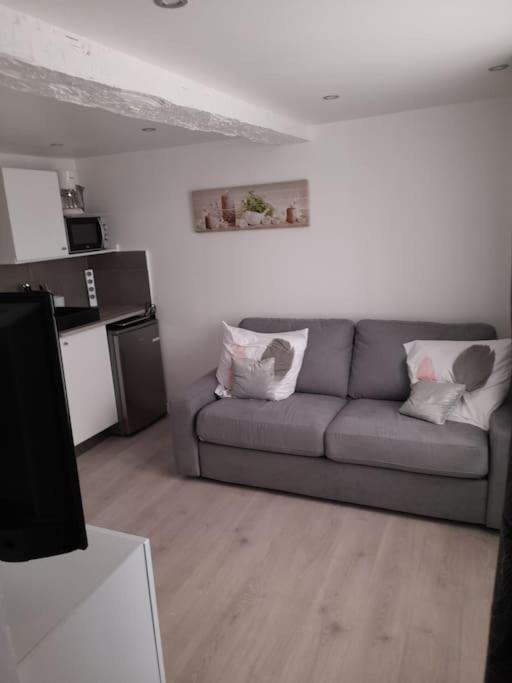 Apartment Studette Centre Historique Refait A Neuf 2022